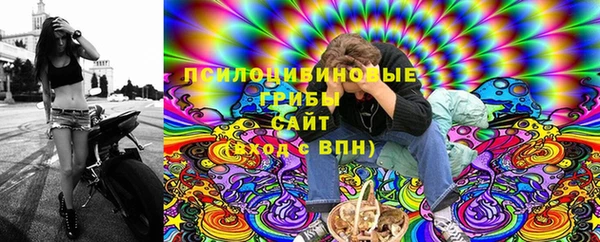 стаф Богородск